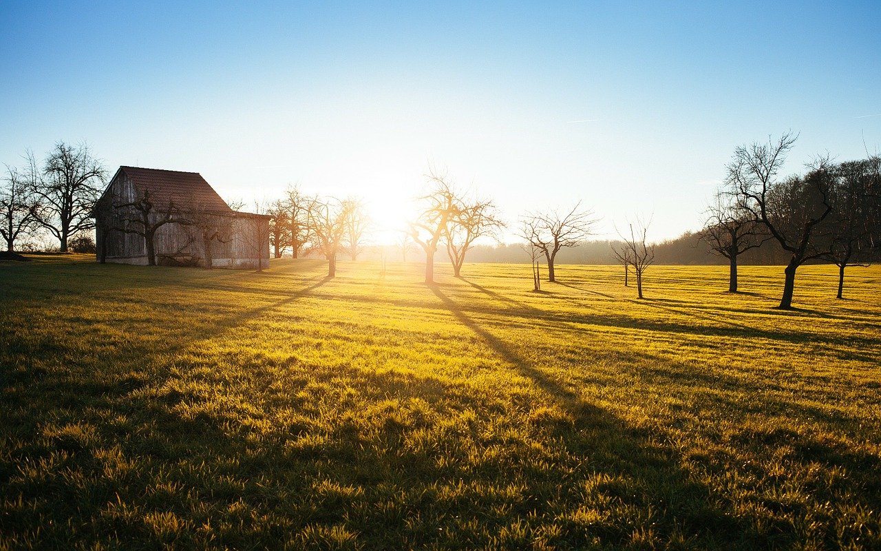 farm, shed, cabin-336549.jpg